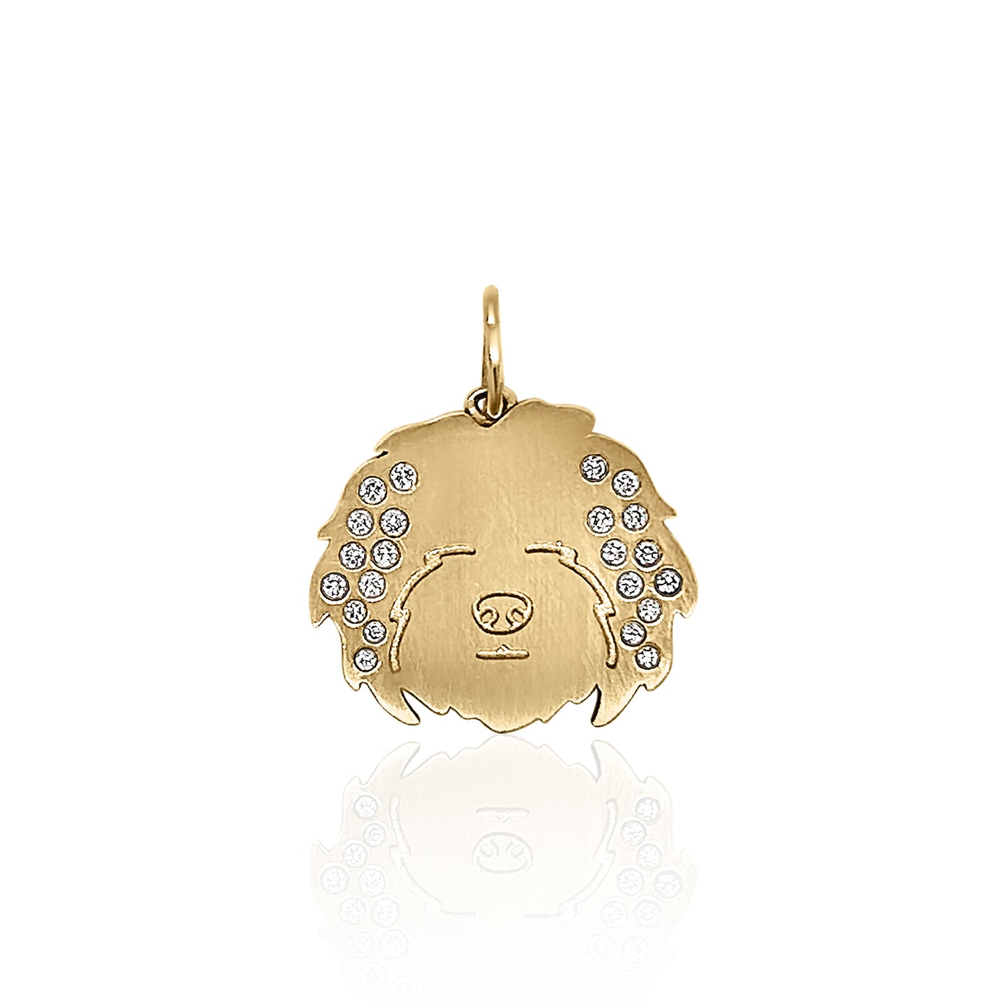 Havanese Charm